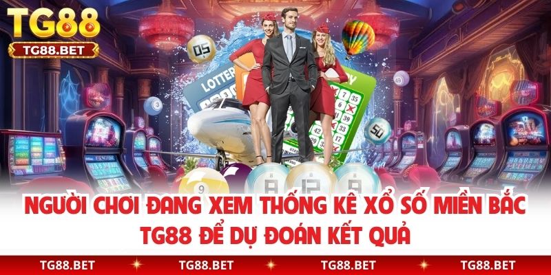 Người chơi đang xem thống kê xổ số Miền Bắc TG88 để dự đoán kết quả